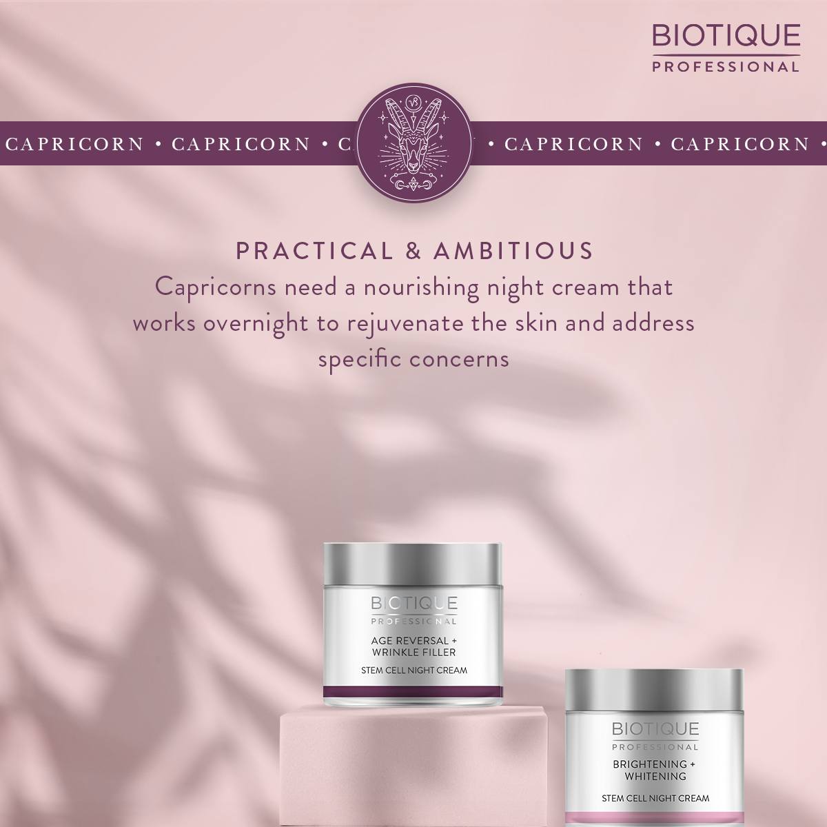 Biotique Professional Age Reversal wrinkle filler Night cream