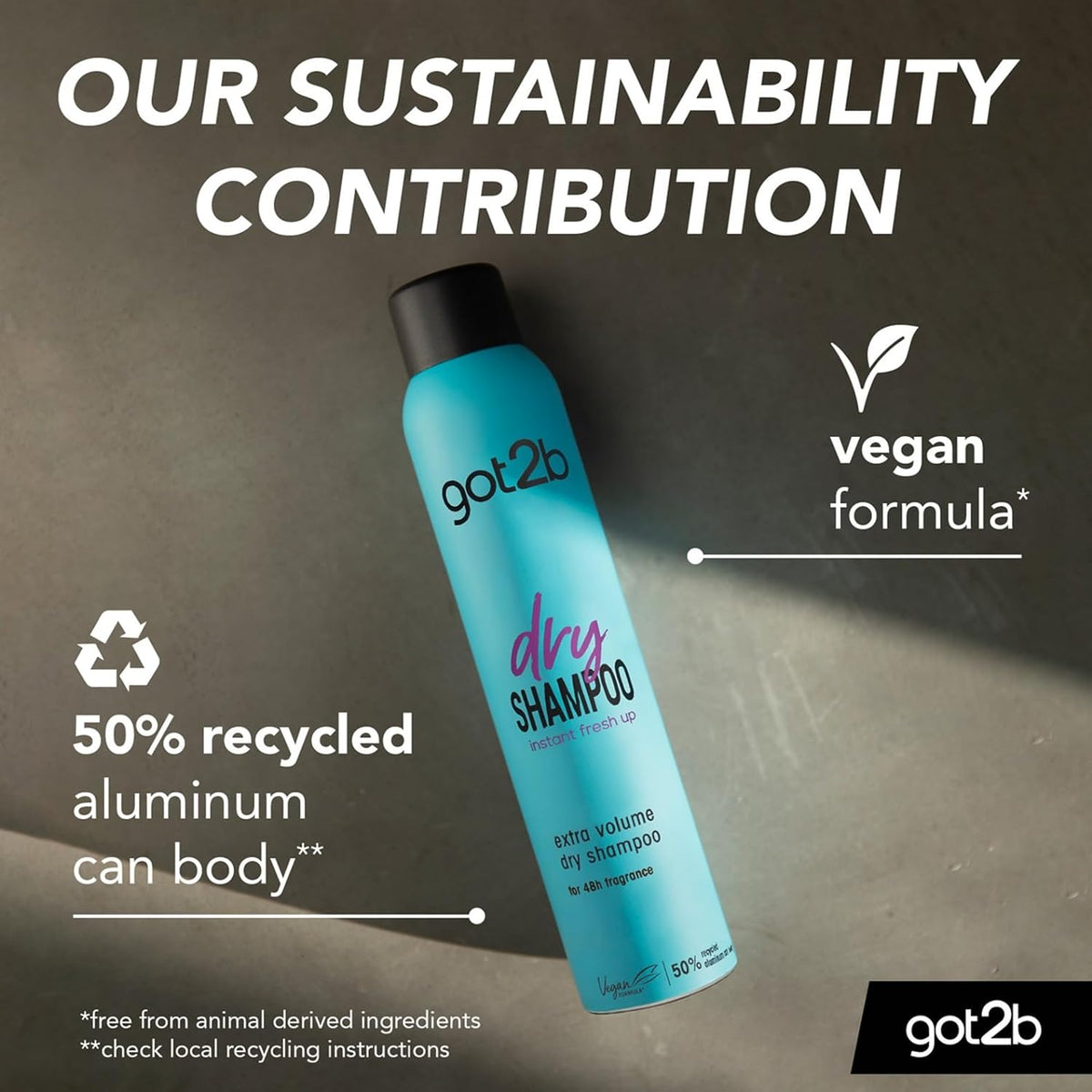 Schwarzkopf got2b Fresh It Up Dry Shampoo for Blondes