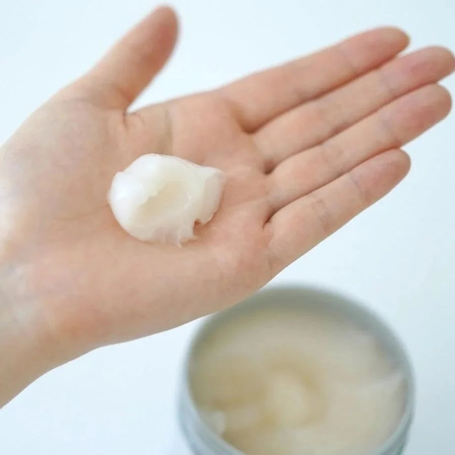 Fino Hair Mask Premium Touch