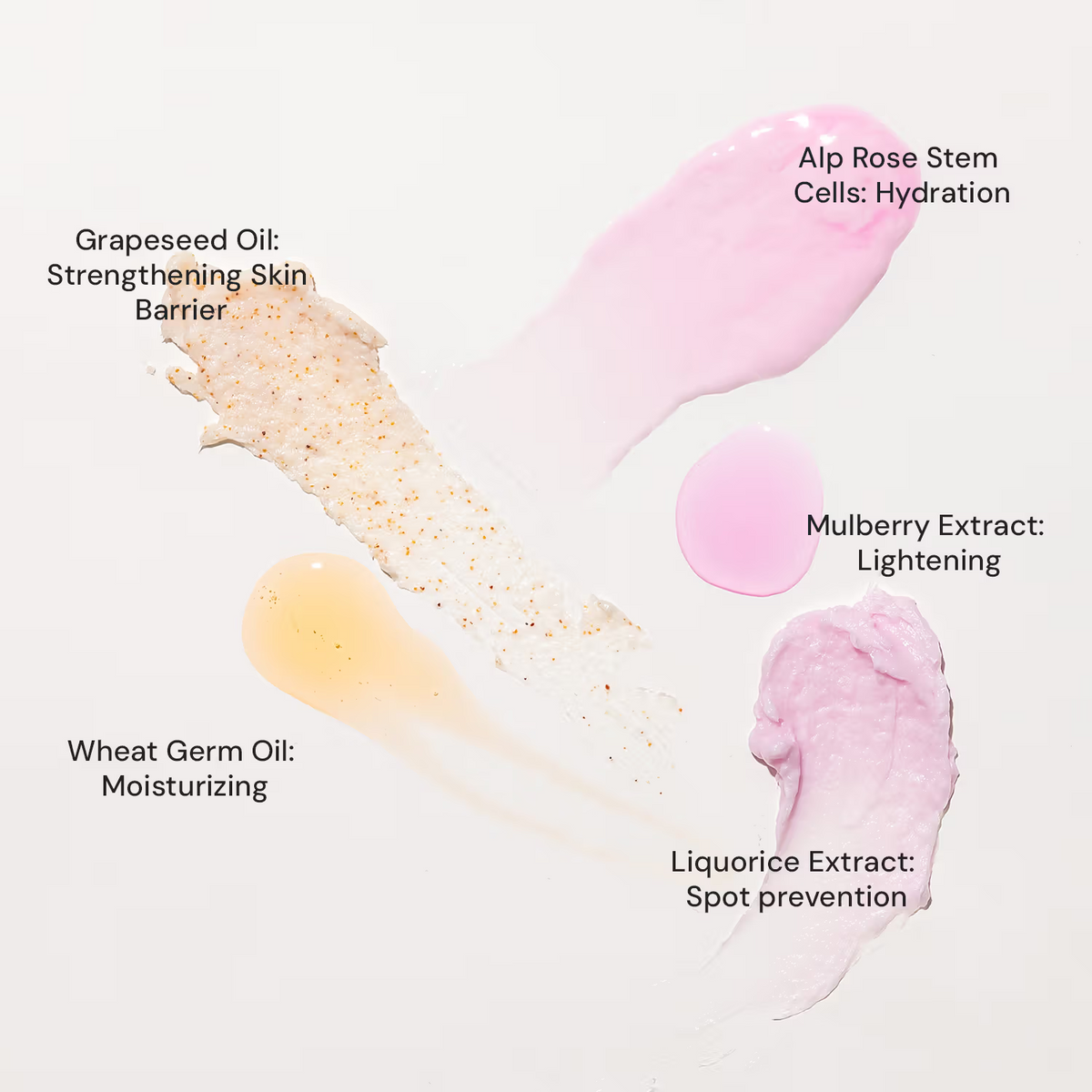 Raaga Stem Cell Infused fairness facial kit