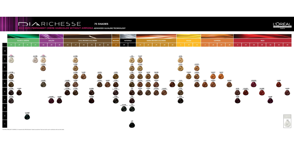 Dia Richesse Hair Color by L’Oréal Professionnel