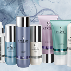 System Professional prokarehub