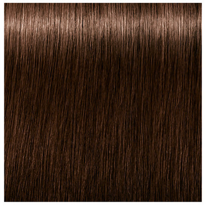 Schwarzkopf Professional Igora Royal Absolutes 5-60