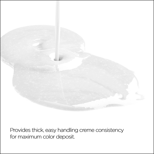 Raaga Professional Cream Developer 20Vol 6%