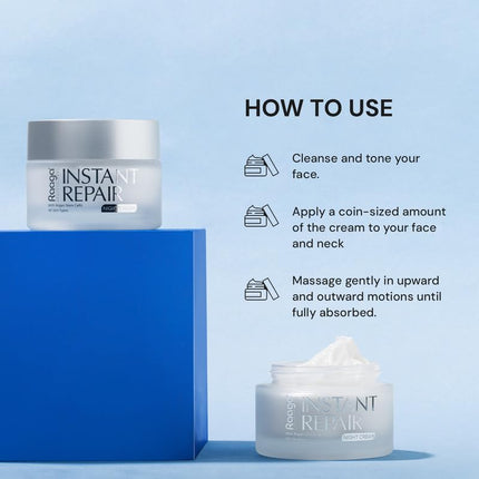 Raaga Professional instant repair night cream