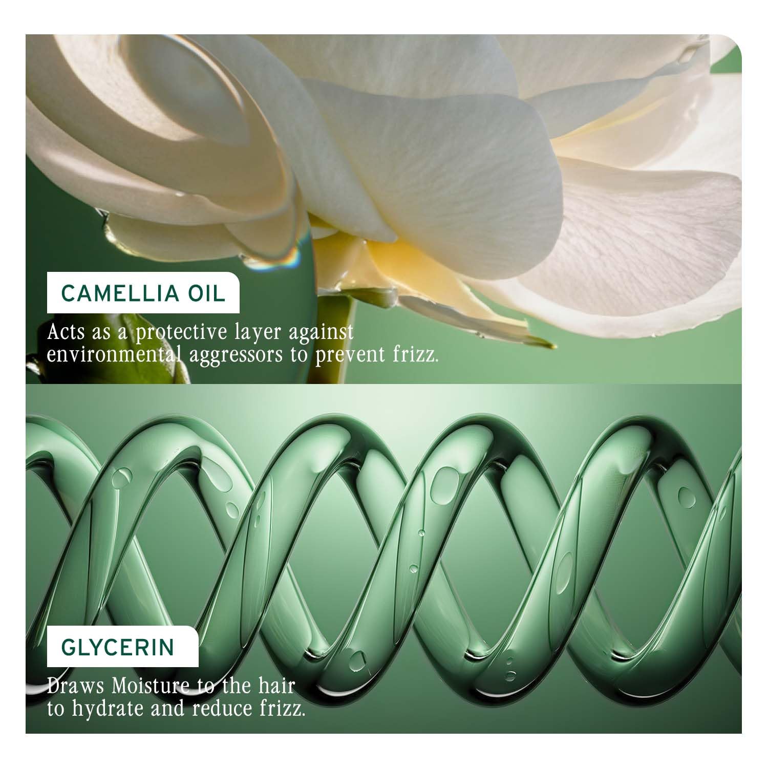Biolage Smoothproof Shampoo with Glycerin and camellia oil
