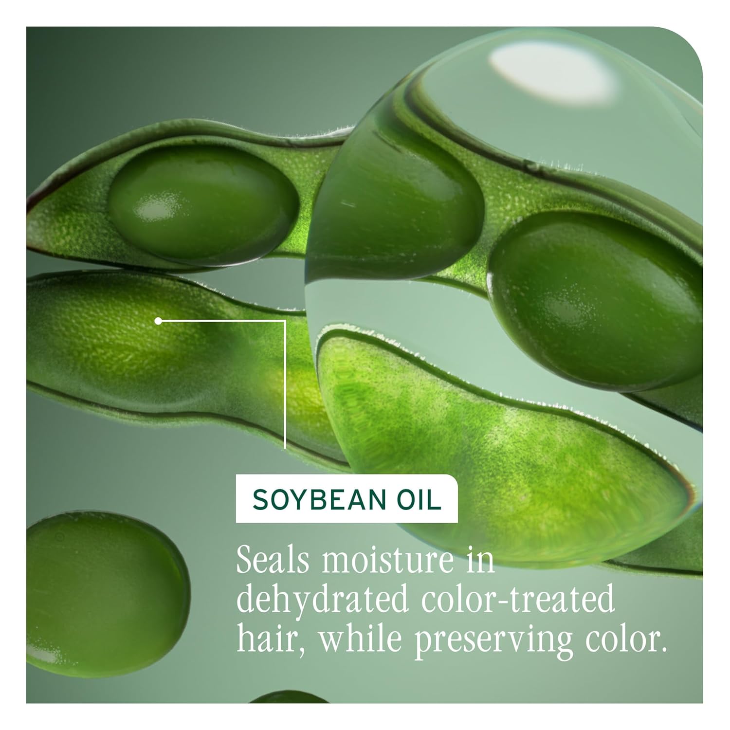 Biolage Color Last Shampoo
