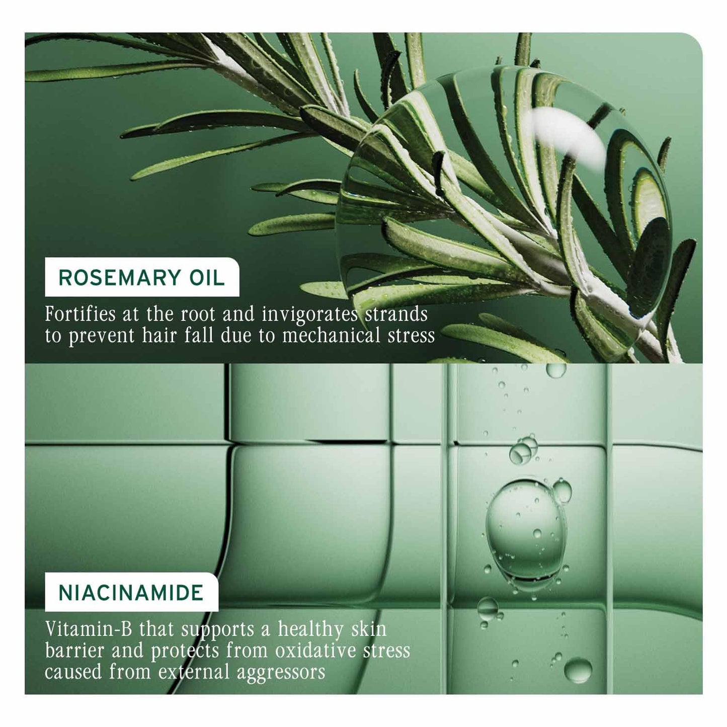 Biolage Full Rescue Conditioner
