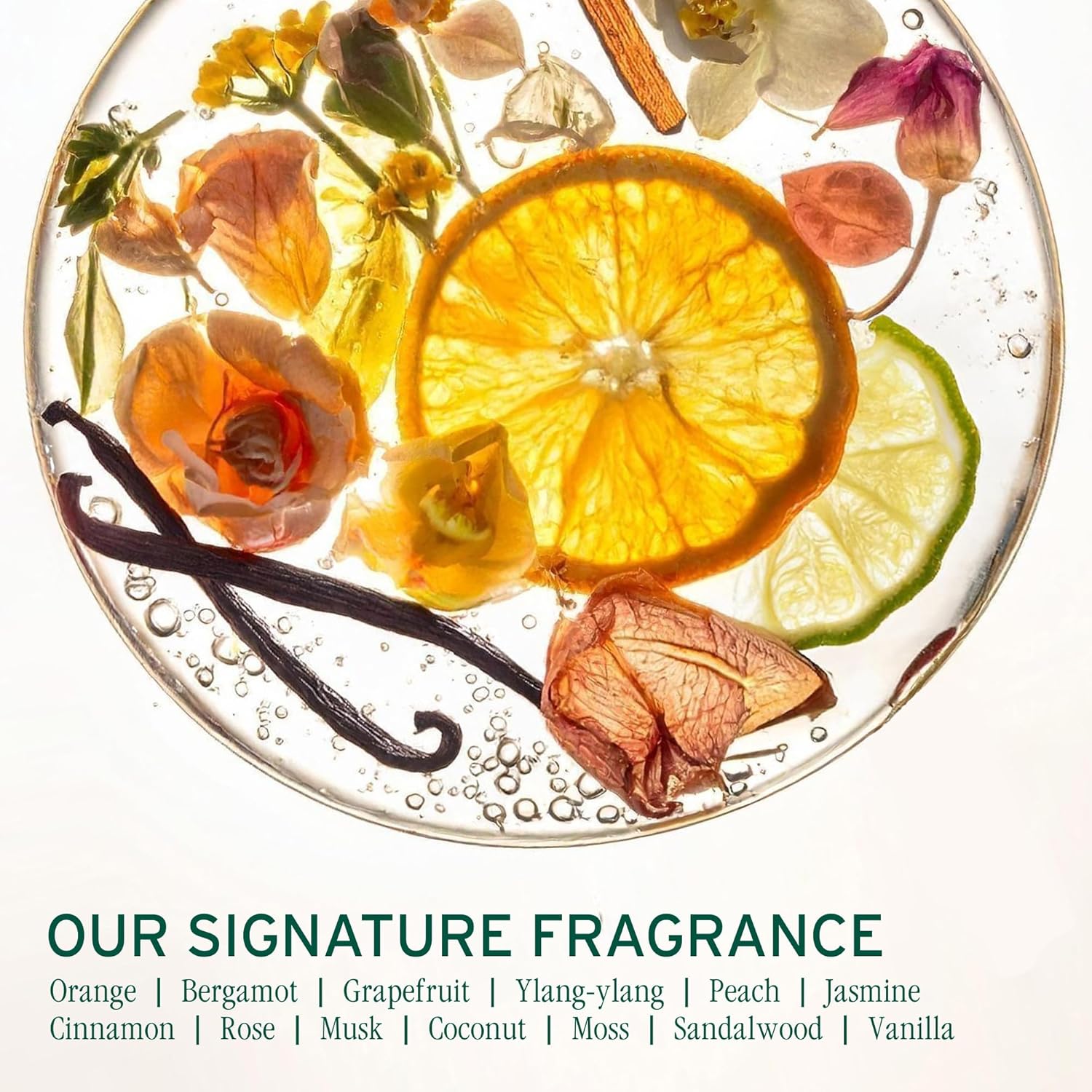 Biolage Color Last Shampoo