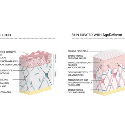 Casmara Age Defense Treatment Facial Kit