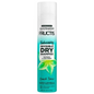 Garnier Fructis Invisible Dry Shampoo Beach Tonic