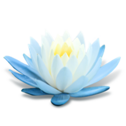 Nivea Cleansing Lotion Refreshing