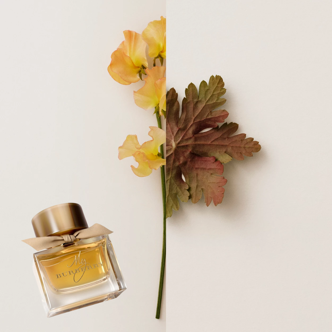 My Burberry Eau De Perfum