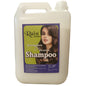 Shampoo Can 4.5 liters Rain Herbal