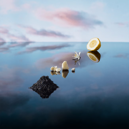 Imagination Louis Vuitton Pocket Perfume