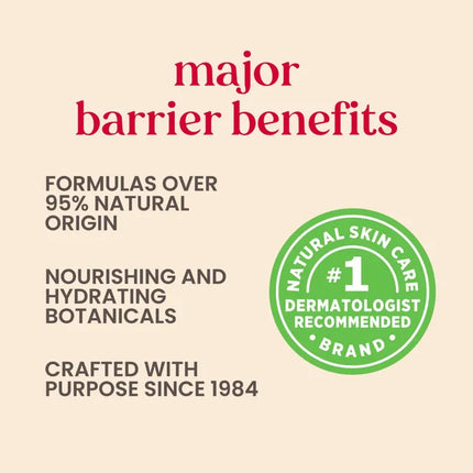 Burt's Bees Beeswax Lip Balm