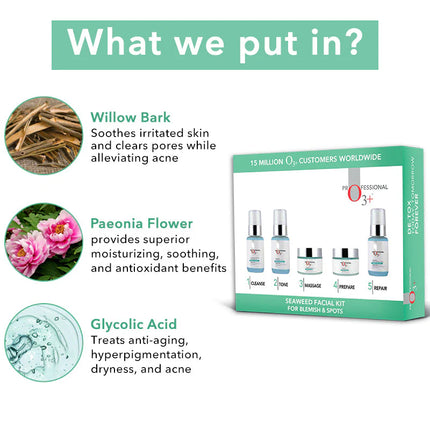 Seaweed Facial Kit