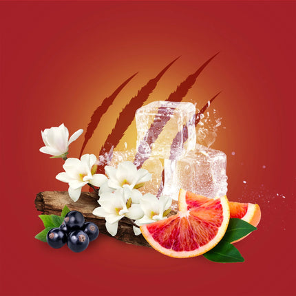 Old Spice Tigerclaw Deodorant Stick (USA)