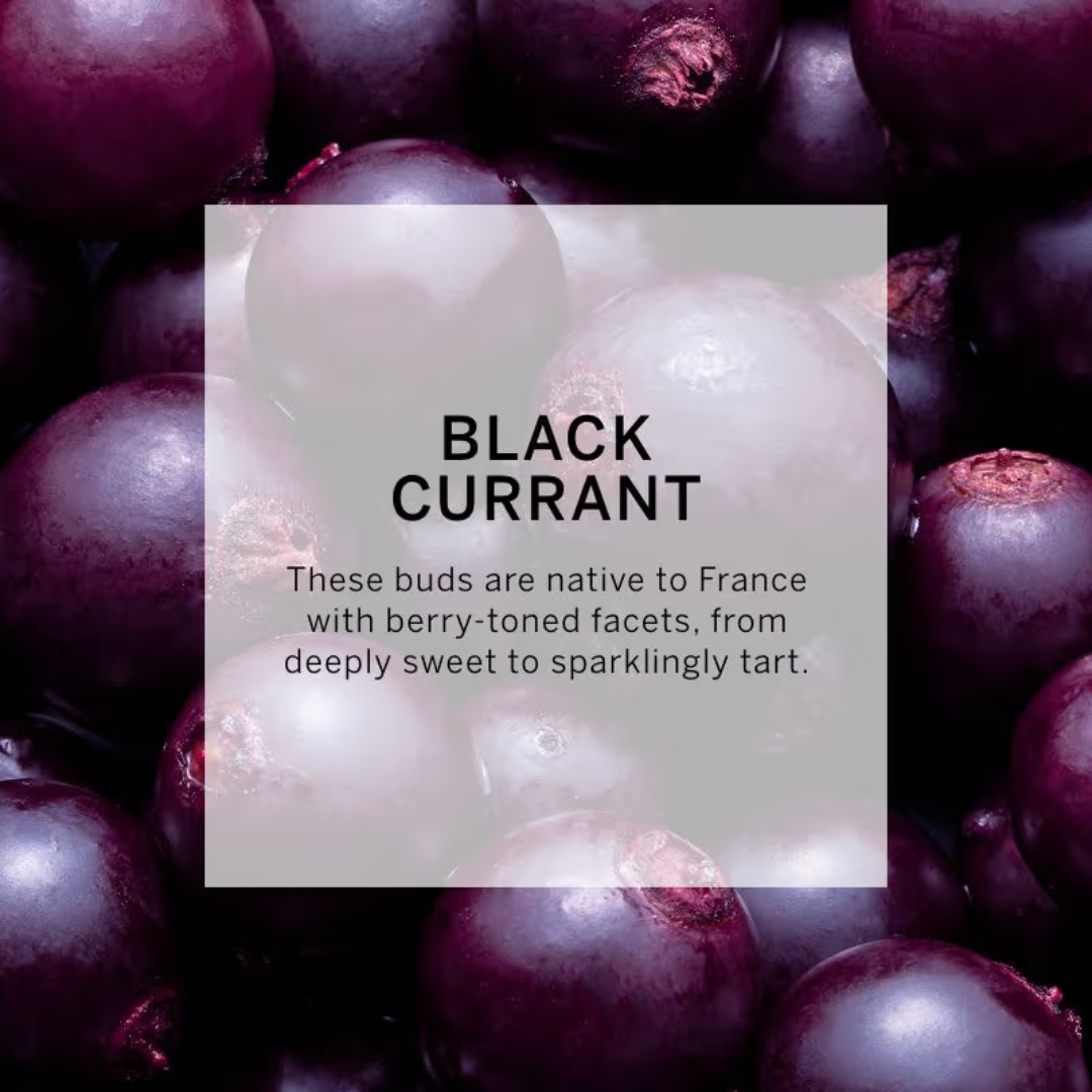 Victoria's Secret Very Sexy Orchid Mist