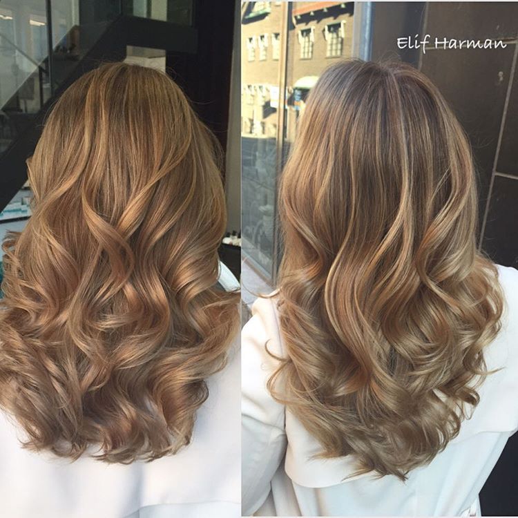 Majirel by l'oréal Shade No 8.31