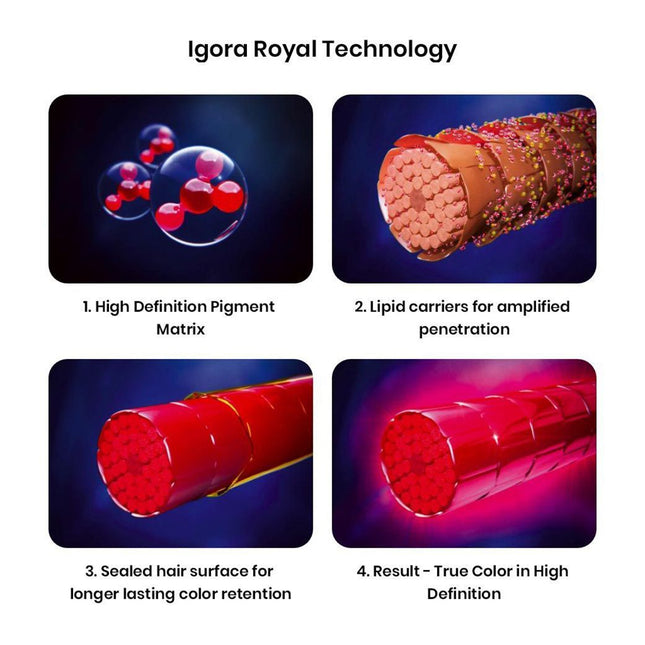 Schwarzkopf Professional Igora Royal Absolutes 4-80