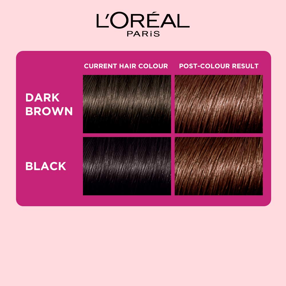 Loreal Paris Casting Creme Gloss Conditioning Color No Ammonia 500 Medium Brown