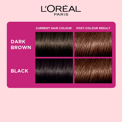 Loreal Paris Casting Creme Gloss Conditioning Color No Ammonia 500 Medium Brown