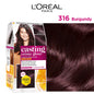 Loreal Paris Casting Creme Gloss Conditioning Color No Ammonia 316 Burgundy