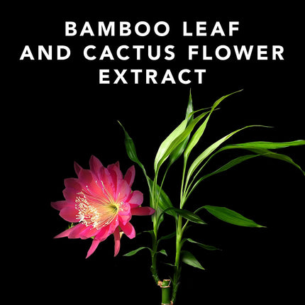 Sebastian Professional Volupt Spray