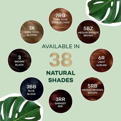 Clairol Natural Instincts Hair Color 4 Dark Brown