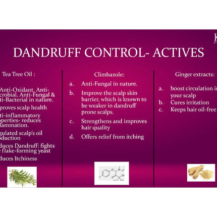 Krone Professional Dandruff Control Kit