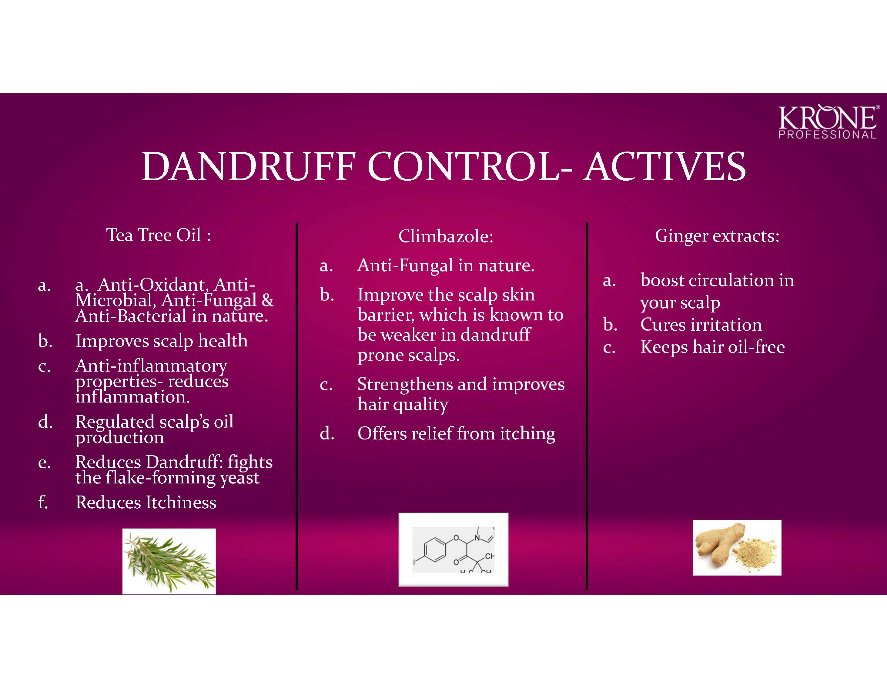 Krone Professional Dandruff Control Kit