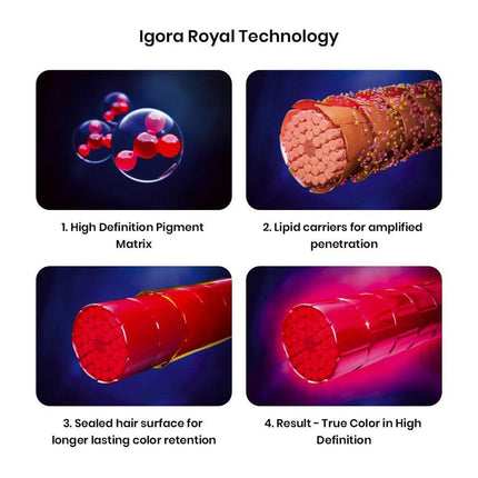 Igora Royal Hair Color Schwarzkopf