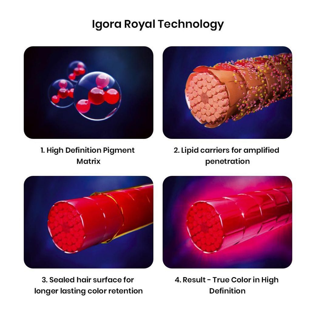 Schwarzkopf Igora Royal E-1